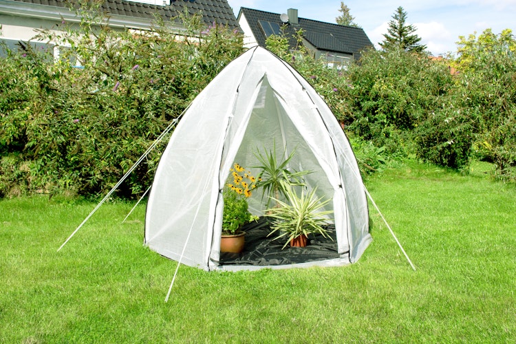 Pergart Pflanzenzelt Foliengewächshaus Hawaii L