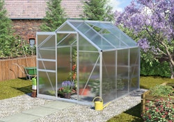 Vitavia Gewächshaus Calypso 4400 inkl. 1 Dachfenster - 4,4 m²