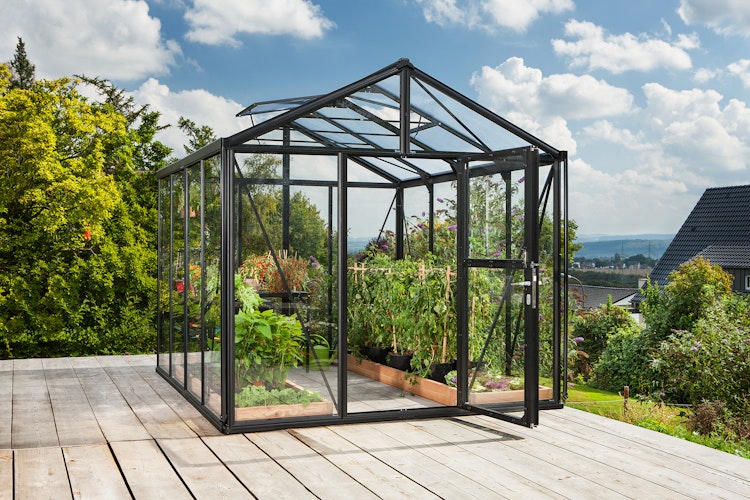 Vitavia Gewächshaus Zeus 8100 inkl. 2 Dachfenstern - 8,1 m²