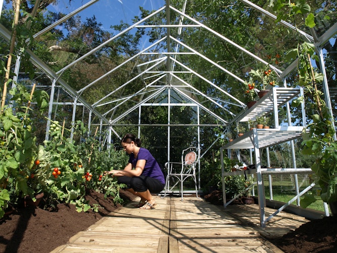 Vitavia Gewächshaus Mars 9900 inkl. 2 Dachfenstern - 9,9 m²