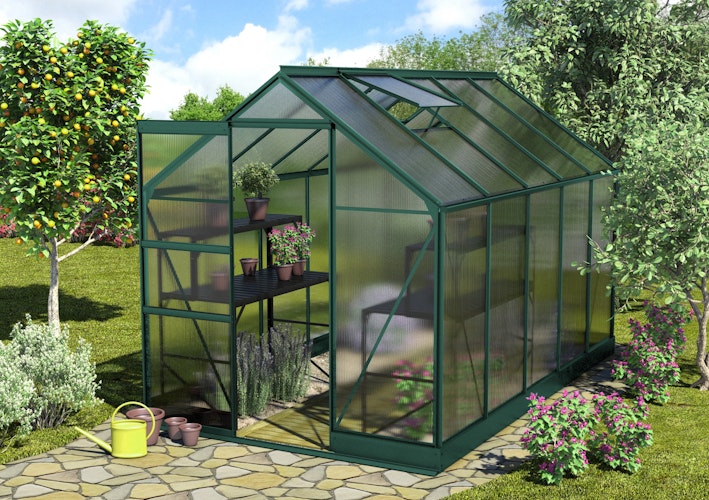 Vitavia Gewächshaus Apollo 6200 inkl. 2 Dachfenstern - 6,2 m²