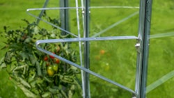 Vitavia Regalträger Aluminium-blank eloxiert (2 Stück) Vitavia Regalträger Aluminium-blank eloxiert (2 Stück)