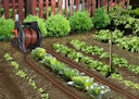 Vorschaubild Vitavia transportables Tropfersystem Drip 'n Roll 2 x 15 m