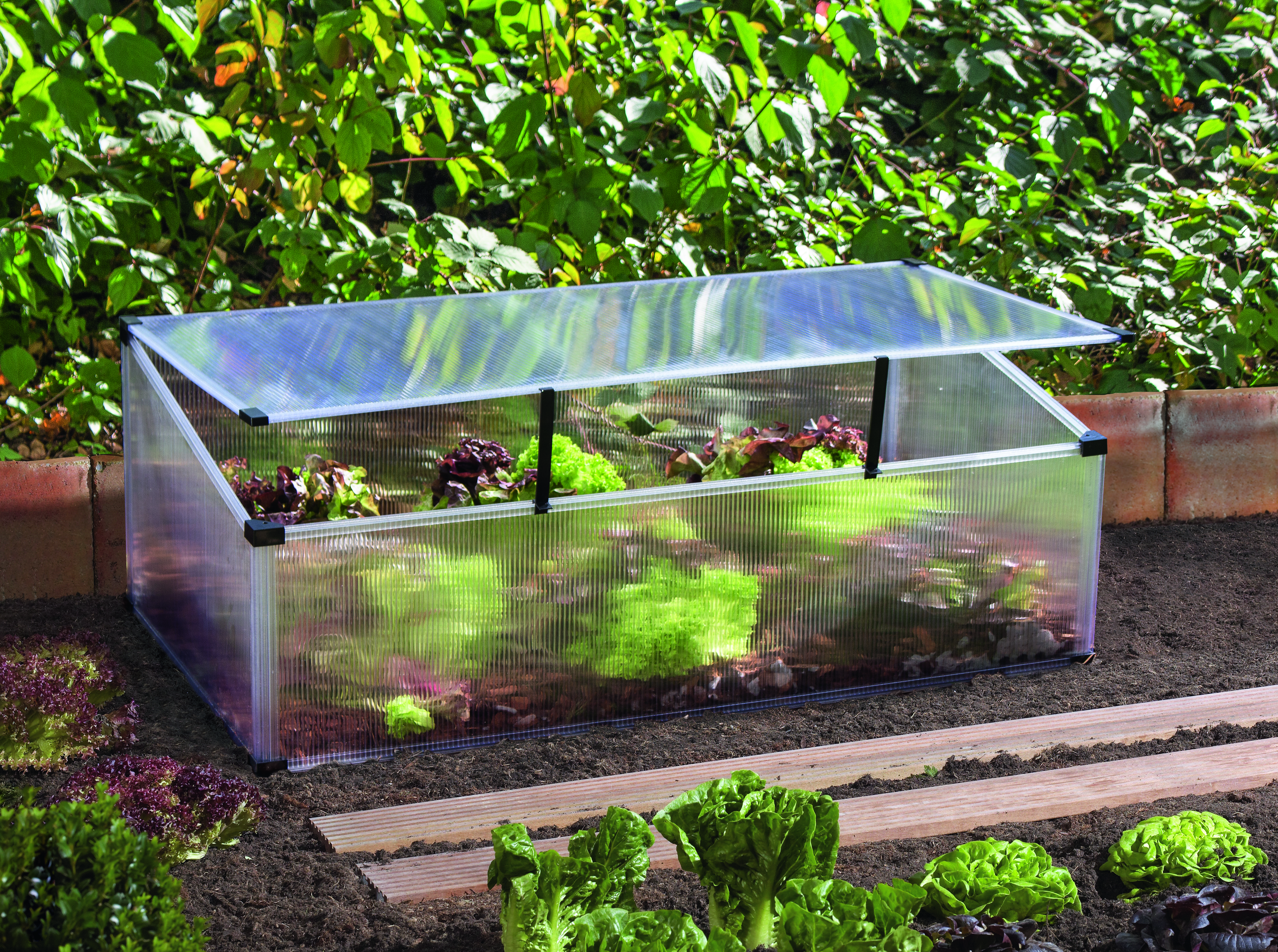 Vitavia Frühbeet Feronia mit Aufstelldach