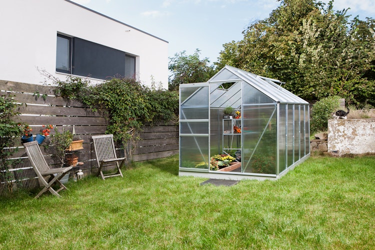 Vitavia Gewächshaus Venus 6200 inkl. 2 Dachfenstern - 6,2 m²