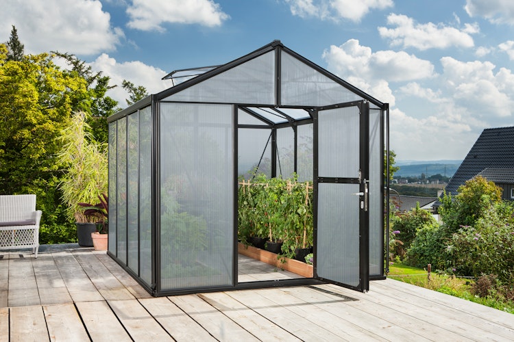 Vitavia Gewächshaus Zeus 8100 inkl. 2 Dachfenstern - 8,1 m²