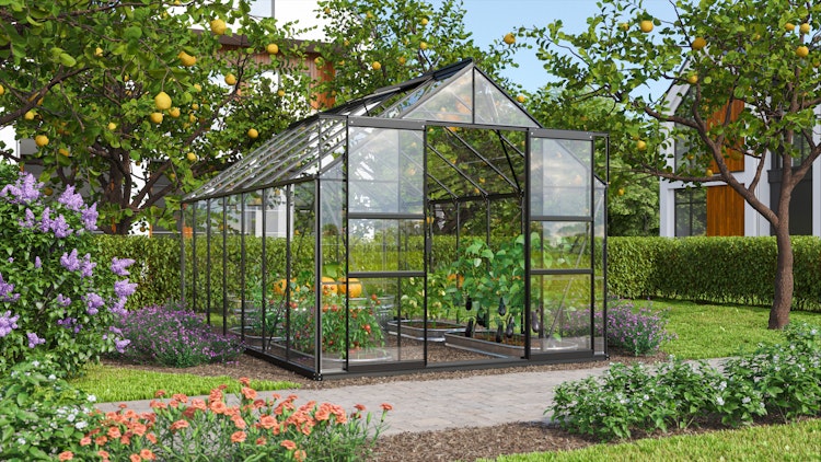 Vitavia Gewächshaus Mars 11500 inkl. 2 Dachfenstern - 11,5 m²