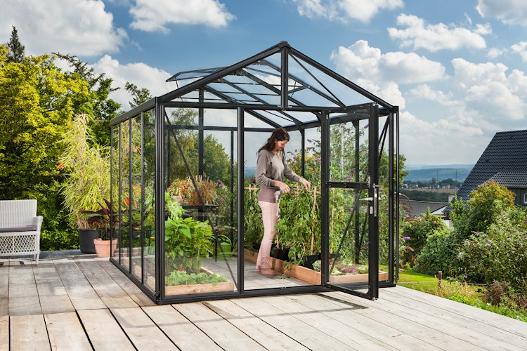 Vitavia Gewächshaus Zeus 8100 inkl. 2 Dachfenstern - 8,1 m²