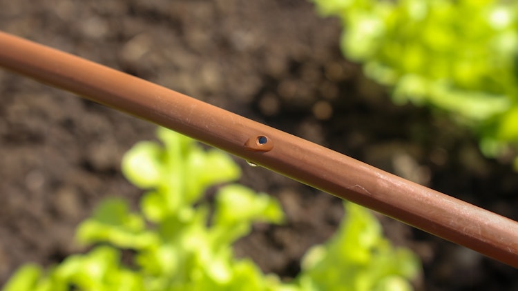 Vitavia Tropfschlauch 