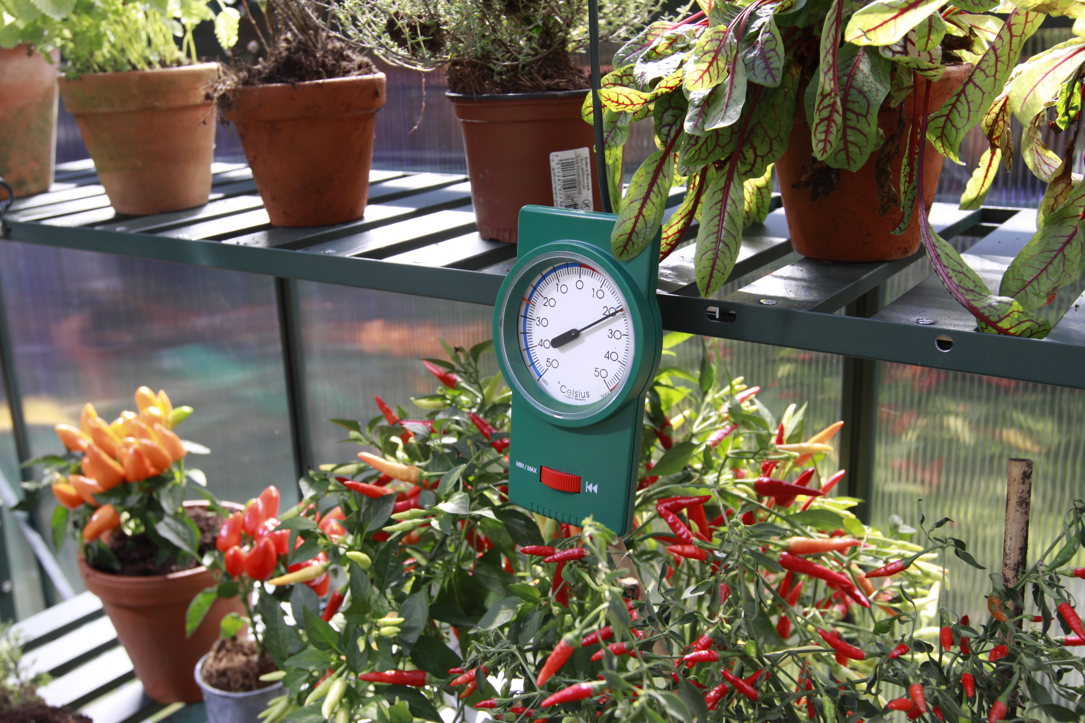 Vitavia Min-Max Thermometer