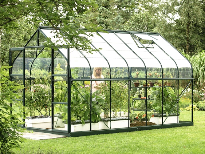 Vitavia Gewächshaus Dione/Diana 11500 inkl. 4 Dachfenster und Stahlfundamentrahmen - 11,5 m²