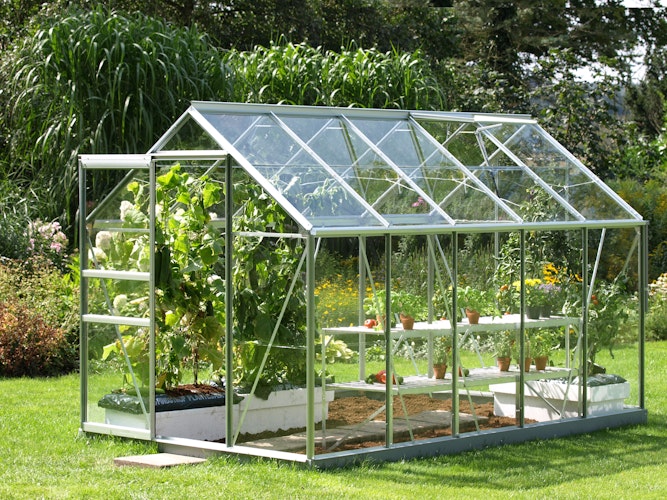 Vitavia Gewächshaus Venus 6200 inkl. 2 Dachfenstern - 6,2 m² Vitavia Gewächshaus Venus 6200 inkl. 2 Dachfenstern - 6,2 m²