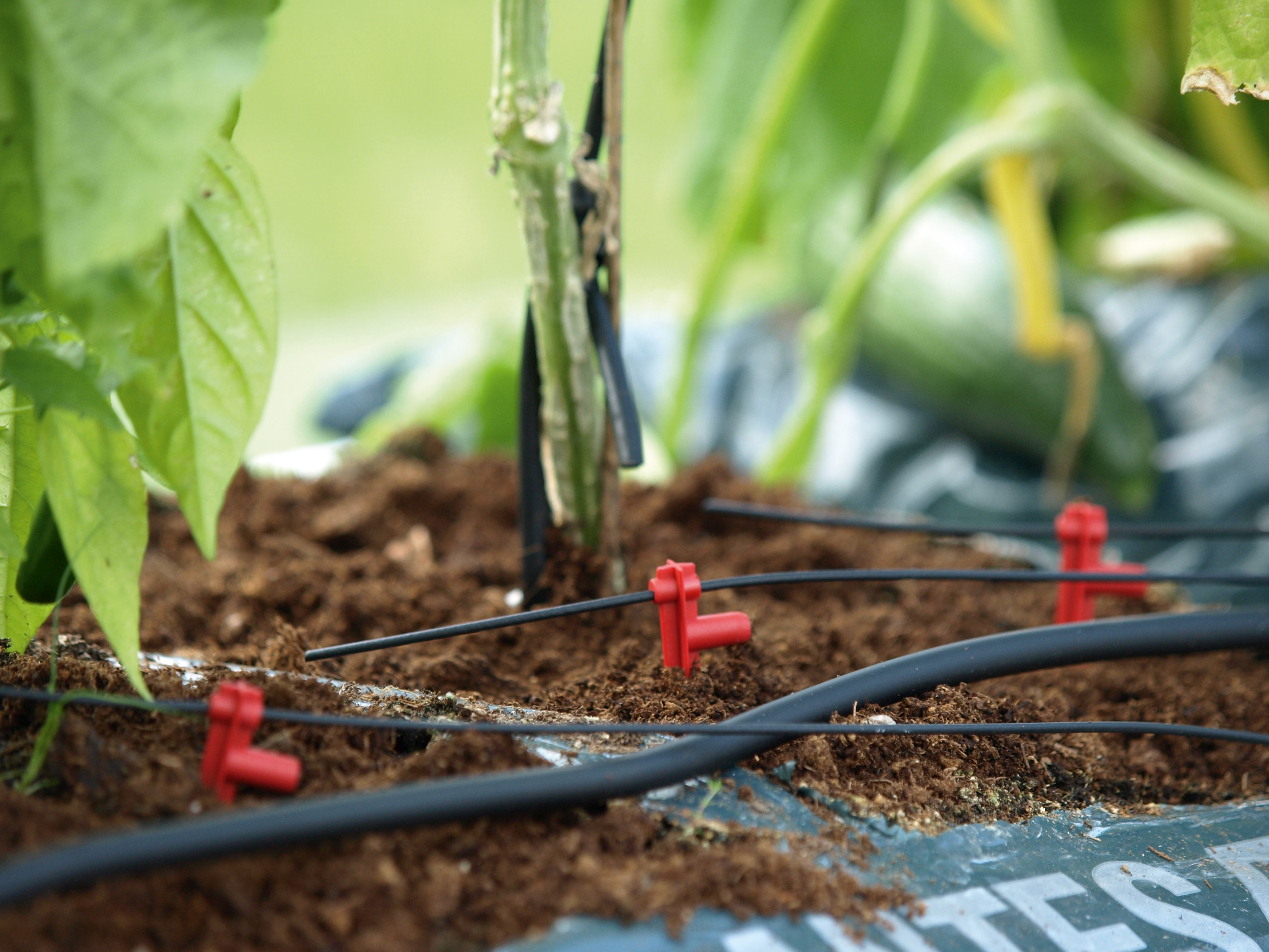 Vitavia Erweiterungs-Set zu Hydromat