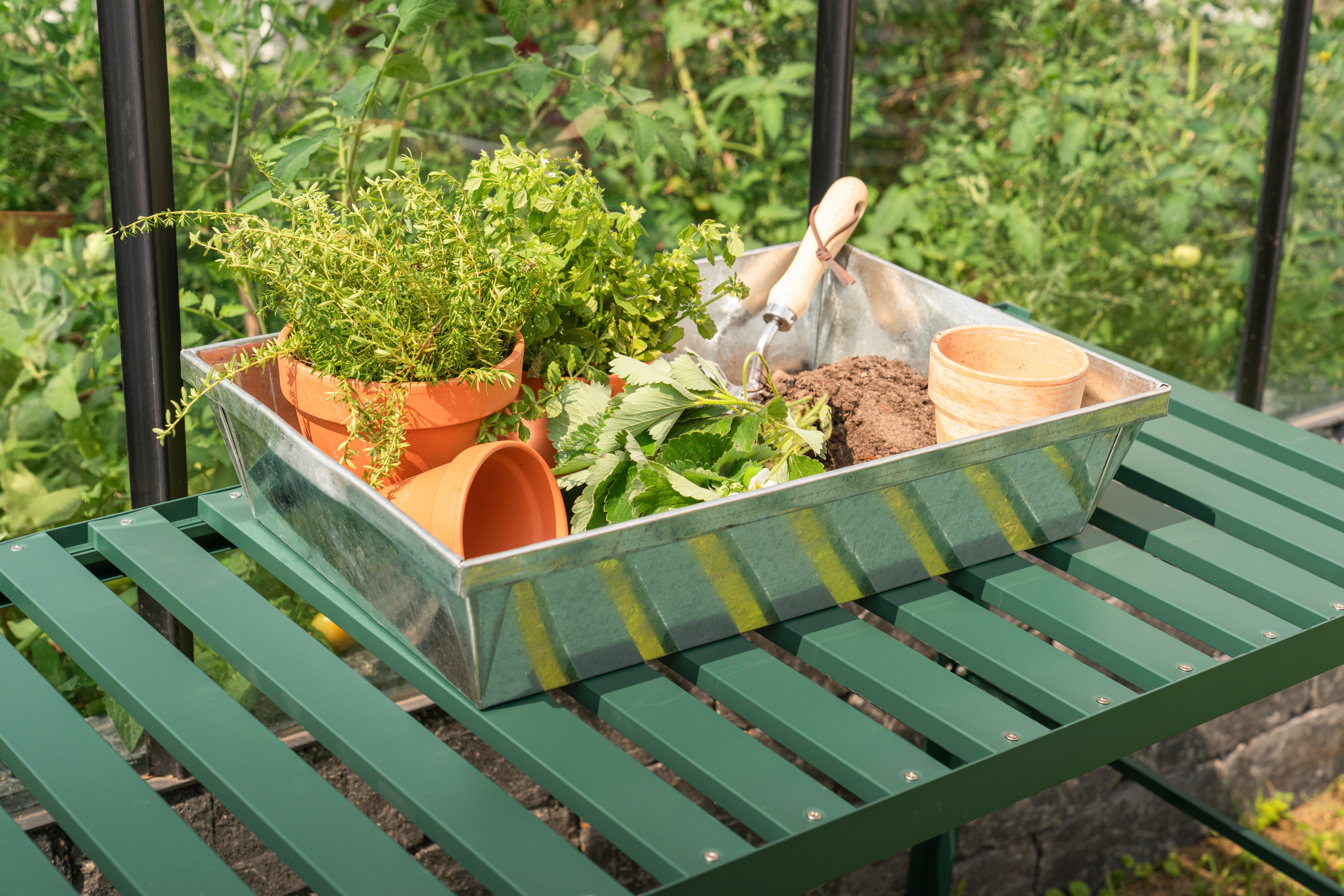 Vitavia Pflanzschale Massiv galvanisiert Alu 38,5 x 28,5 x 11,5 cm