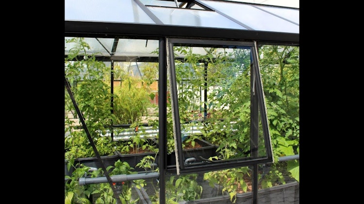Vitavia Seitenfenster "Z" mit oder ohne Verglasung für Zeus Vitavia Seitenfenster "Z" mit oder ohne Verglasung für Zeus