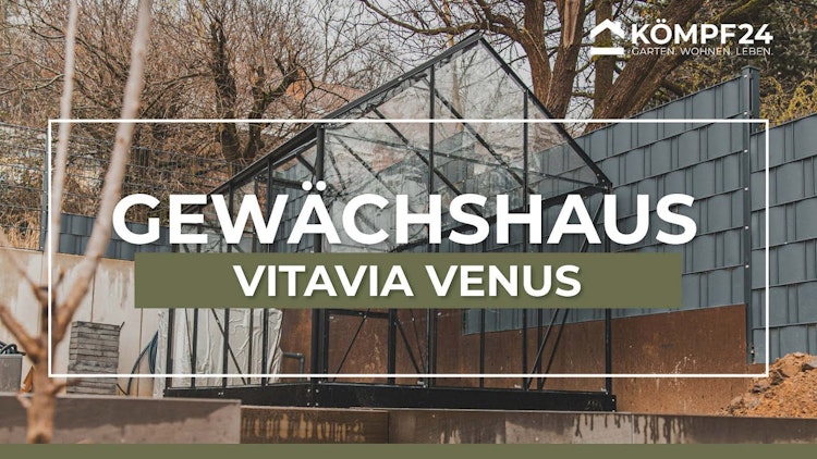 Vitavia Gewächshaus Venus 3800 inkl. 1 Dachfenster - 3,8 m² Vitavia Gewächshaus Venus 3800 inkl. 1 Dachfenster - 3,8 m²